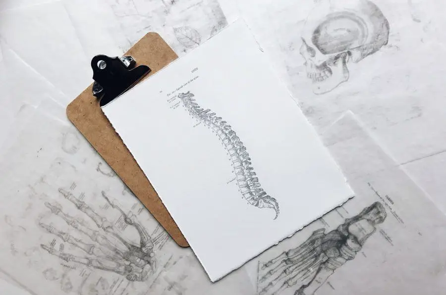 brown and black clipboard with white spinal cord print manual